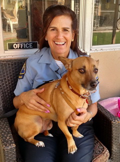 Newport shop animal shelter